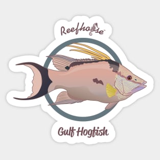 Gulf Hogfish Sticker